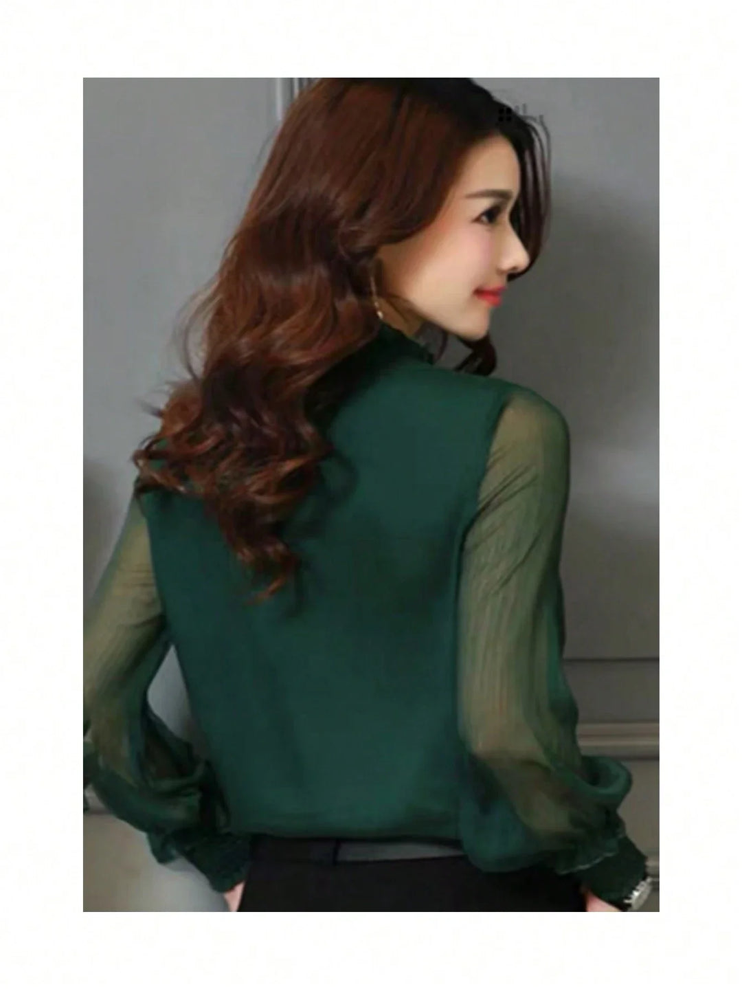Women’s Casual Office Solid Color Sheer Long Sleeve Top